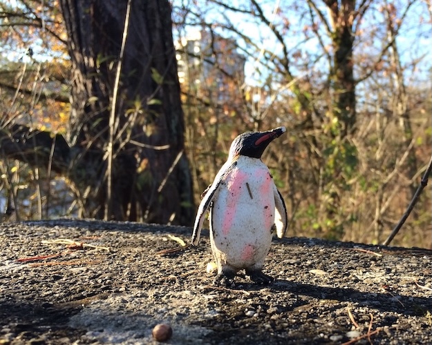 plastik-pinguin